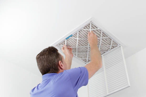 Best Local Air Duct Cleaning Services  in Loveland Park, OH
